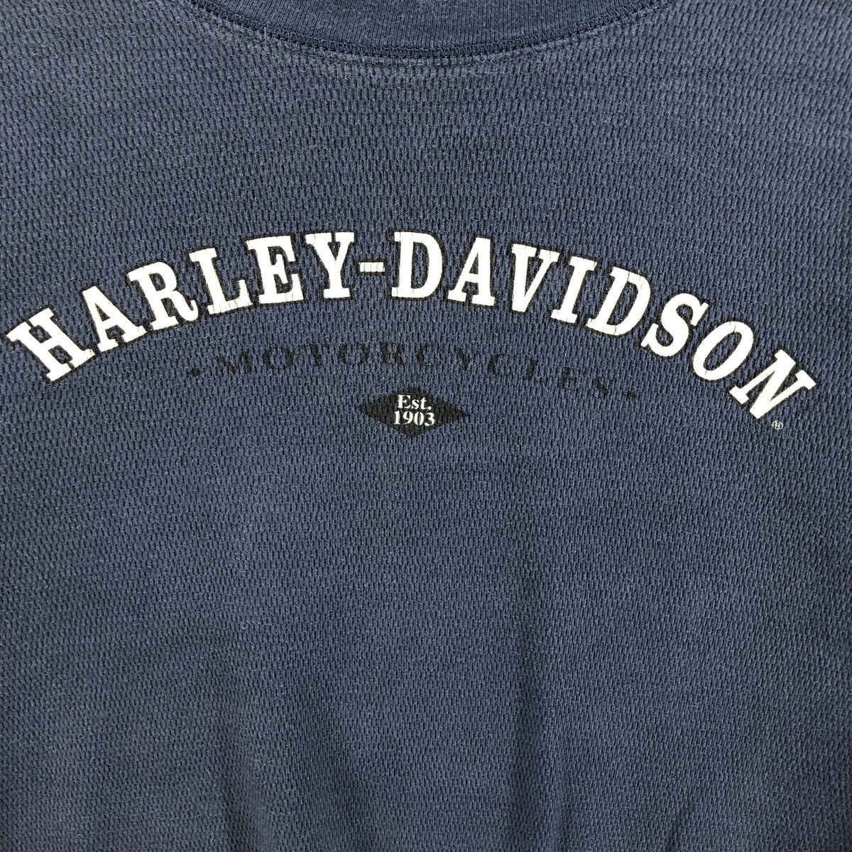 古着 00年代 ハーレーダビッドソン Harley-Davidson サーマルロンT