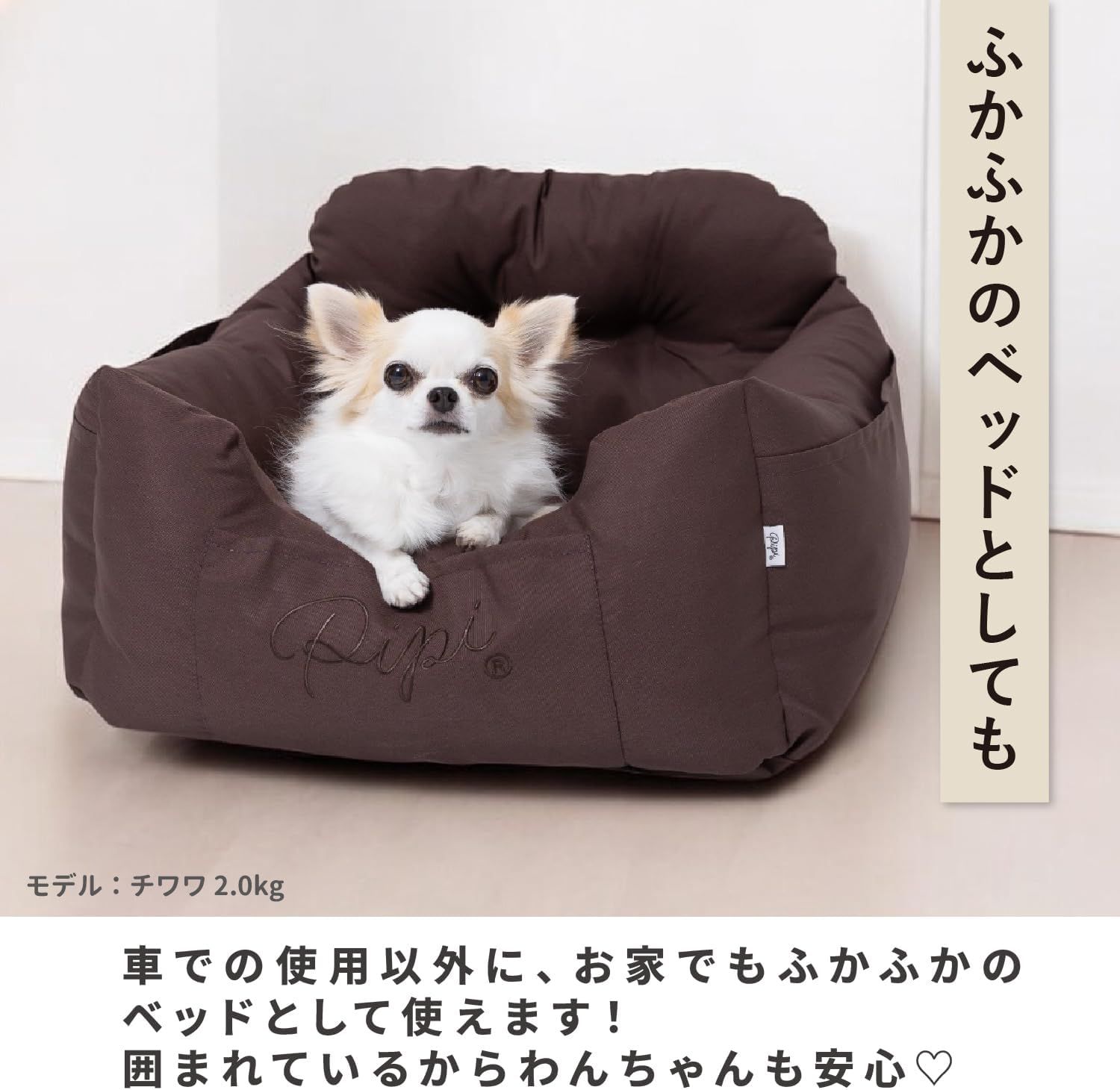 ブラック 犬用