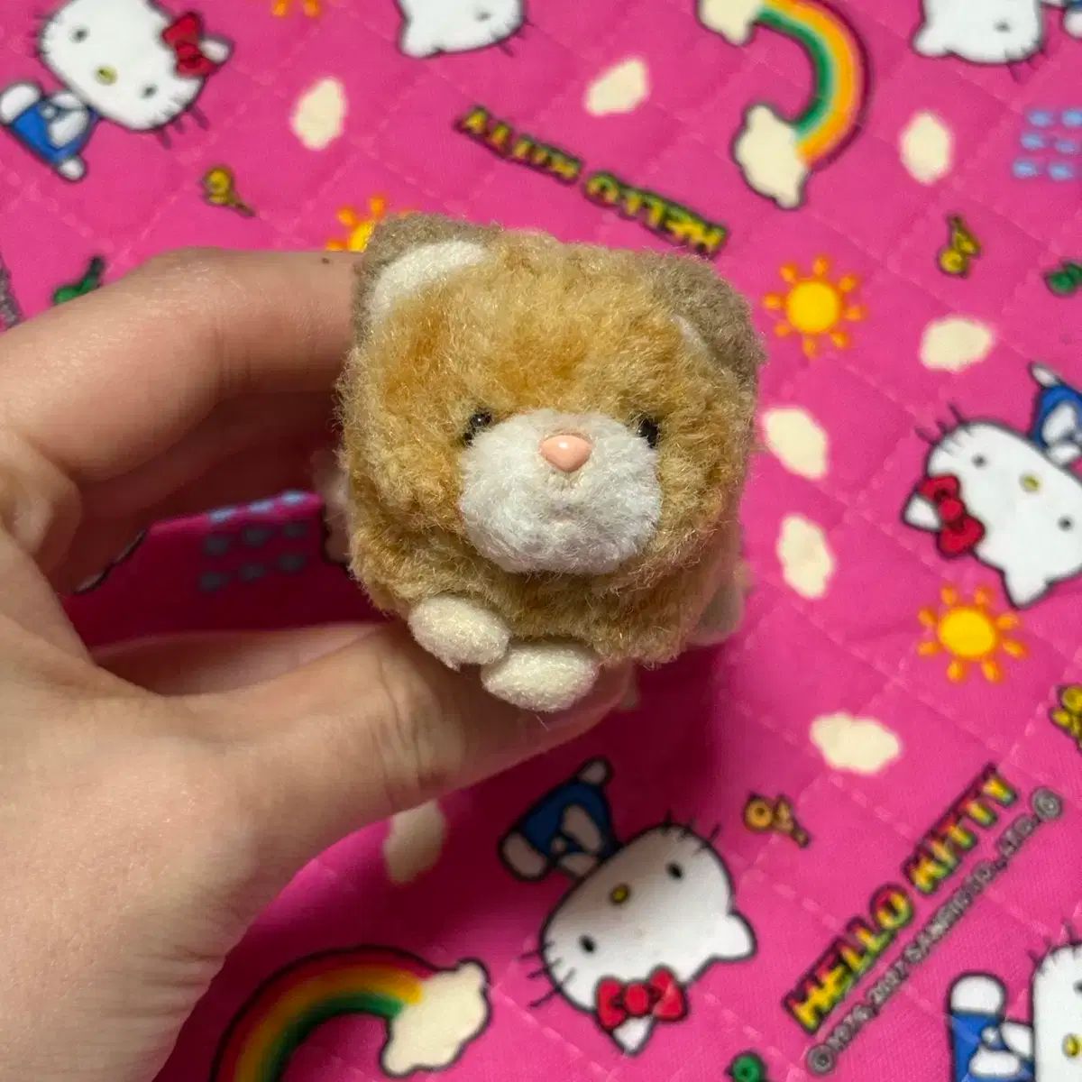マグネット : Bleu キャット刺繍マグネット Bleuet（ブルーブルーエ 