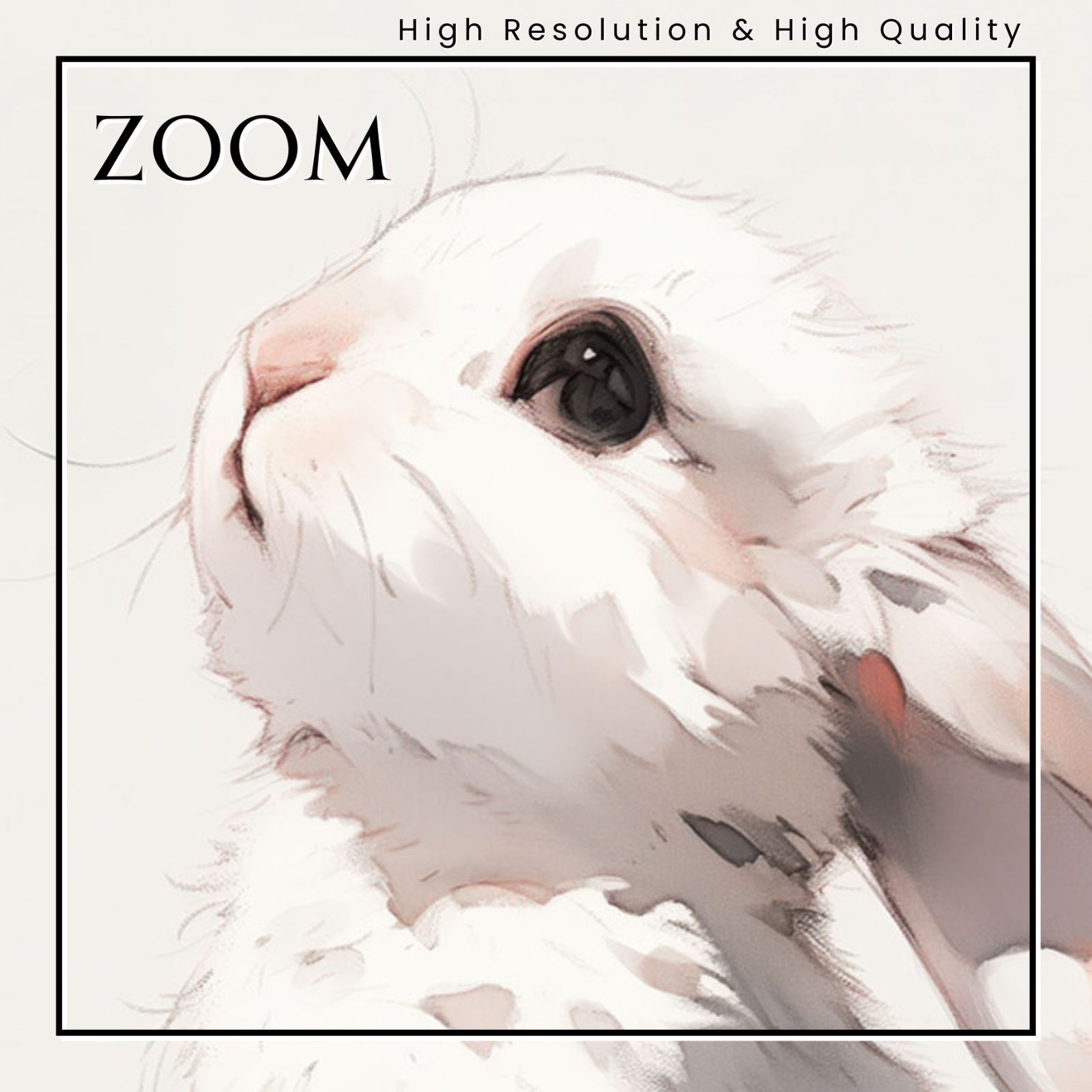 ホーランド ロップ