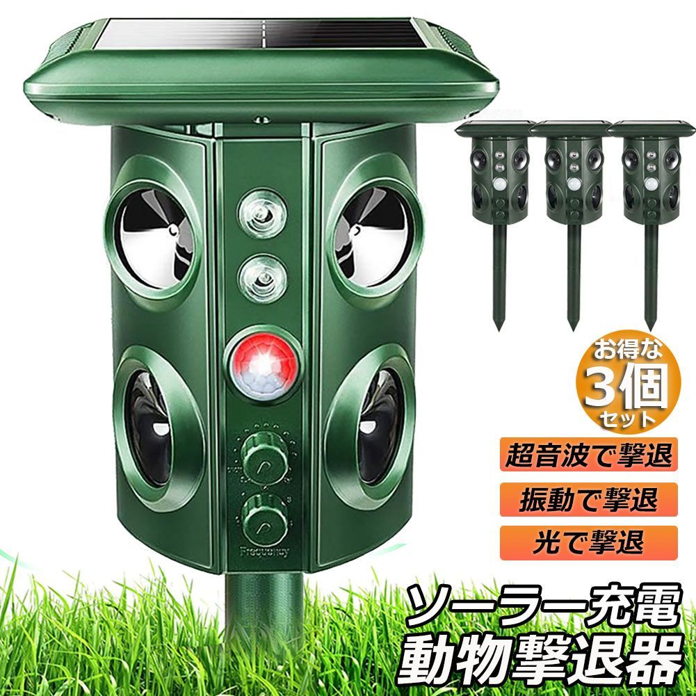 週末値引き！わたわたペット 羊毛フェルト作品 笑顔のコーギー 『一緒