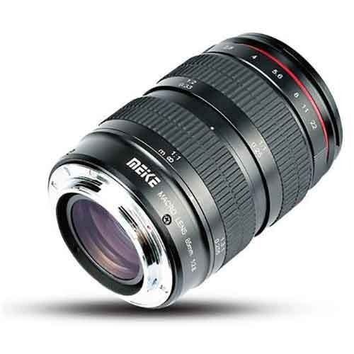 岡晋吾 超人気 ボウル レア 入手困難 岡晋吾 皿 入手困難 レア 超人気