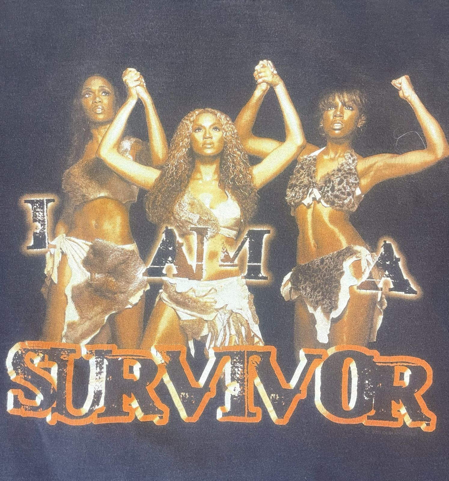 Destiny's Child(デスティニーズ・チャイルド) SURVIVOR 2001 Destiny's Child(デスティニーズ・チャイルド) SURVIVOR 2001
