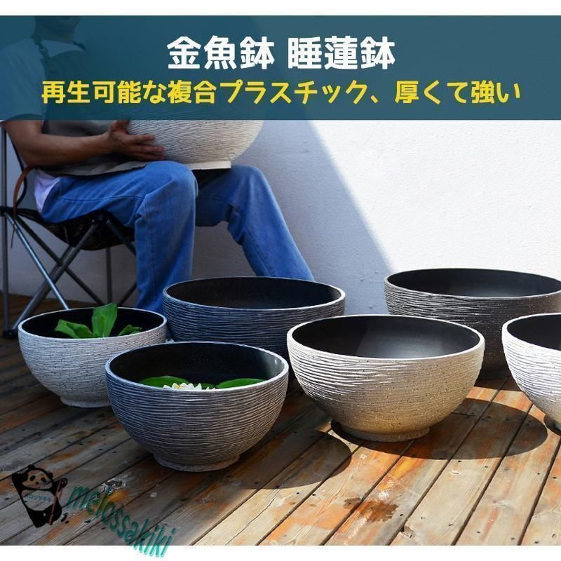 屋外飼育 メダカ