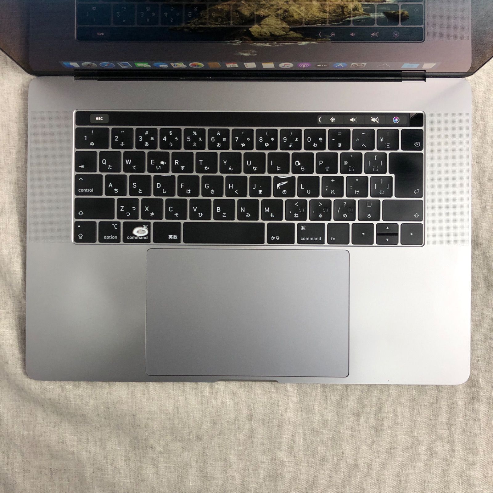 本体のみ】MacBook Pro (15インチ, 2019)【Touch Bar・i9・16GB 
