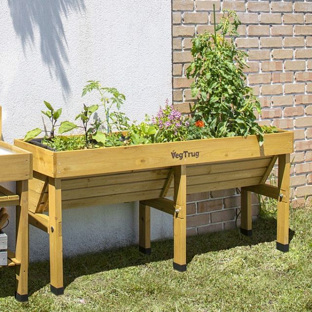 ホームベジトラグ