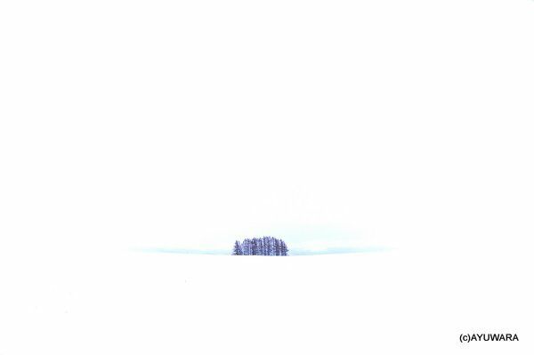 高橋真澄 インテリア