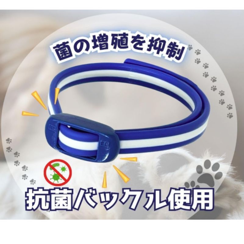 蚊