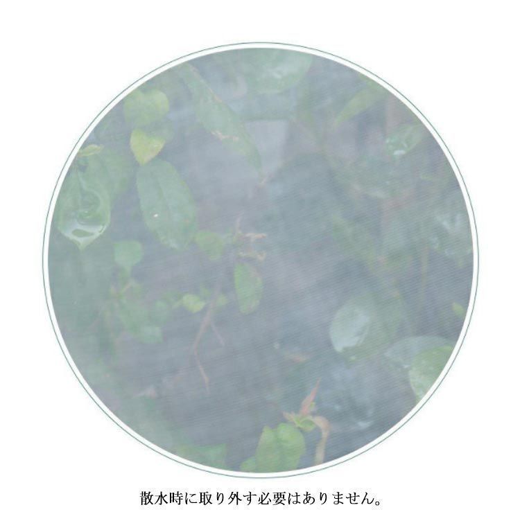 野菜