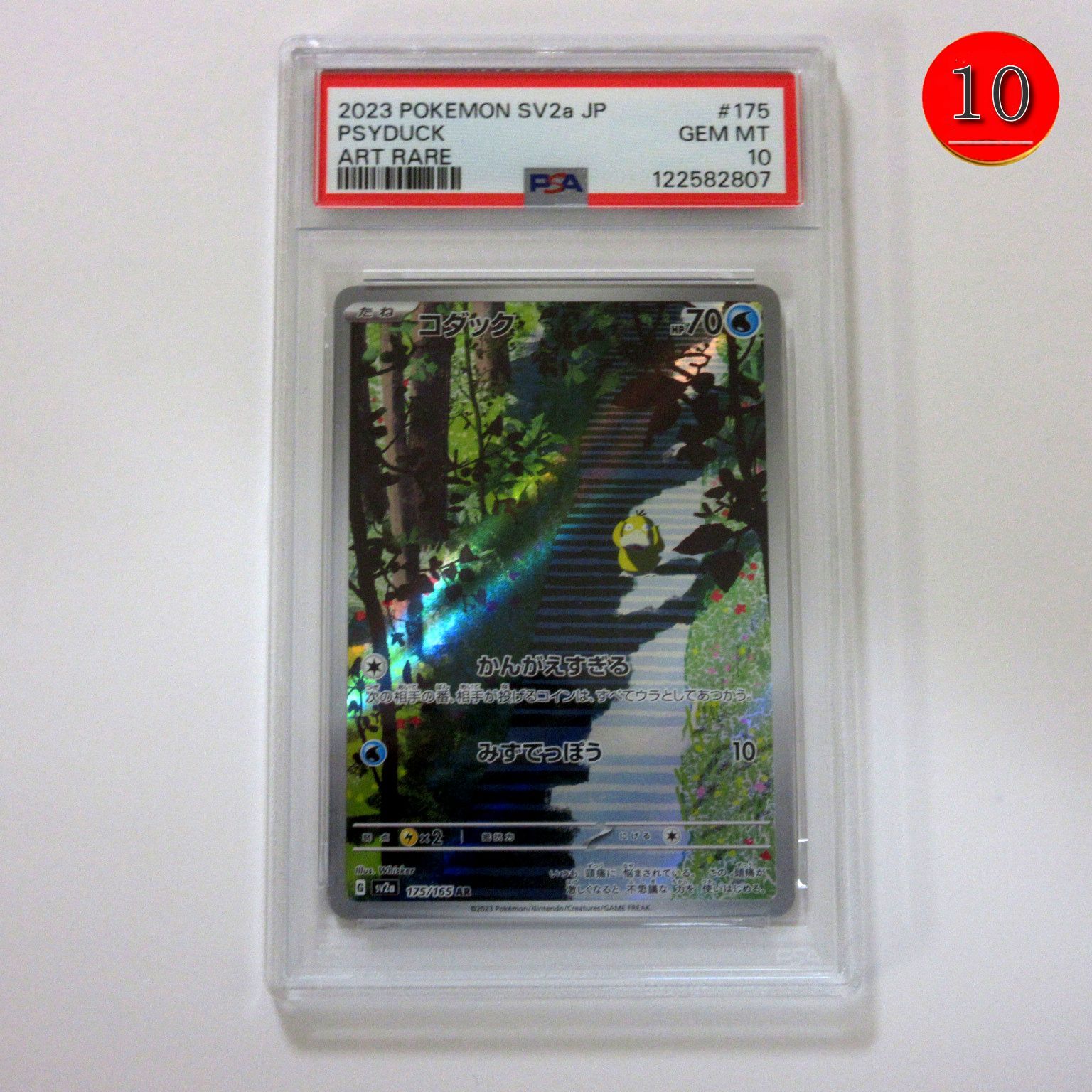 オーガナイザープロモパック 80パック 2025 ポケモンセンター レジ袋