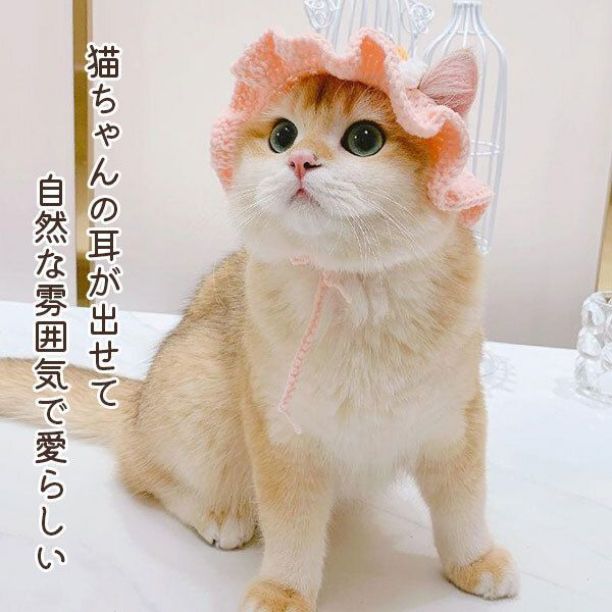 手編み変装ハット｜カエル
