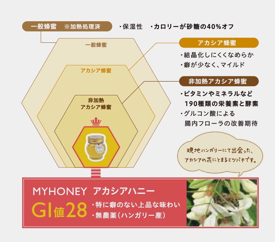 アカシア生はちみつチューブタイプ500g×3本