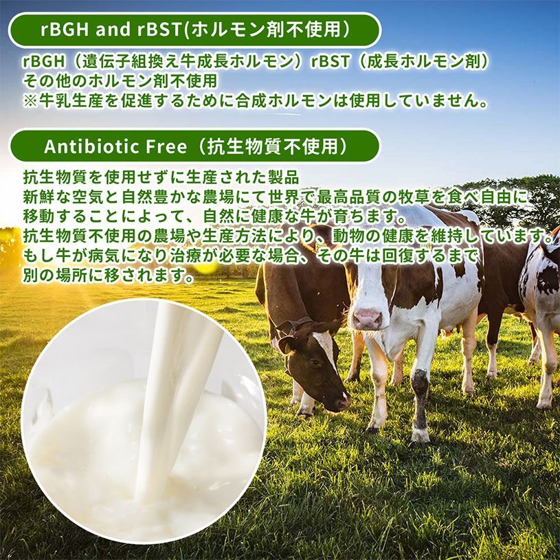 NICHIGA ニチガ公式 GRASS FED WPI instant ホエイプロテイン 1ｋｇ×3袋 沖縄を除く GMO Free グラスフェッド 牛成長ホルモン不使用 TKS KANDAIZUMI_COM