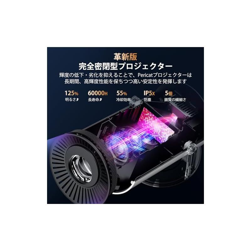令和6年10月新登場|