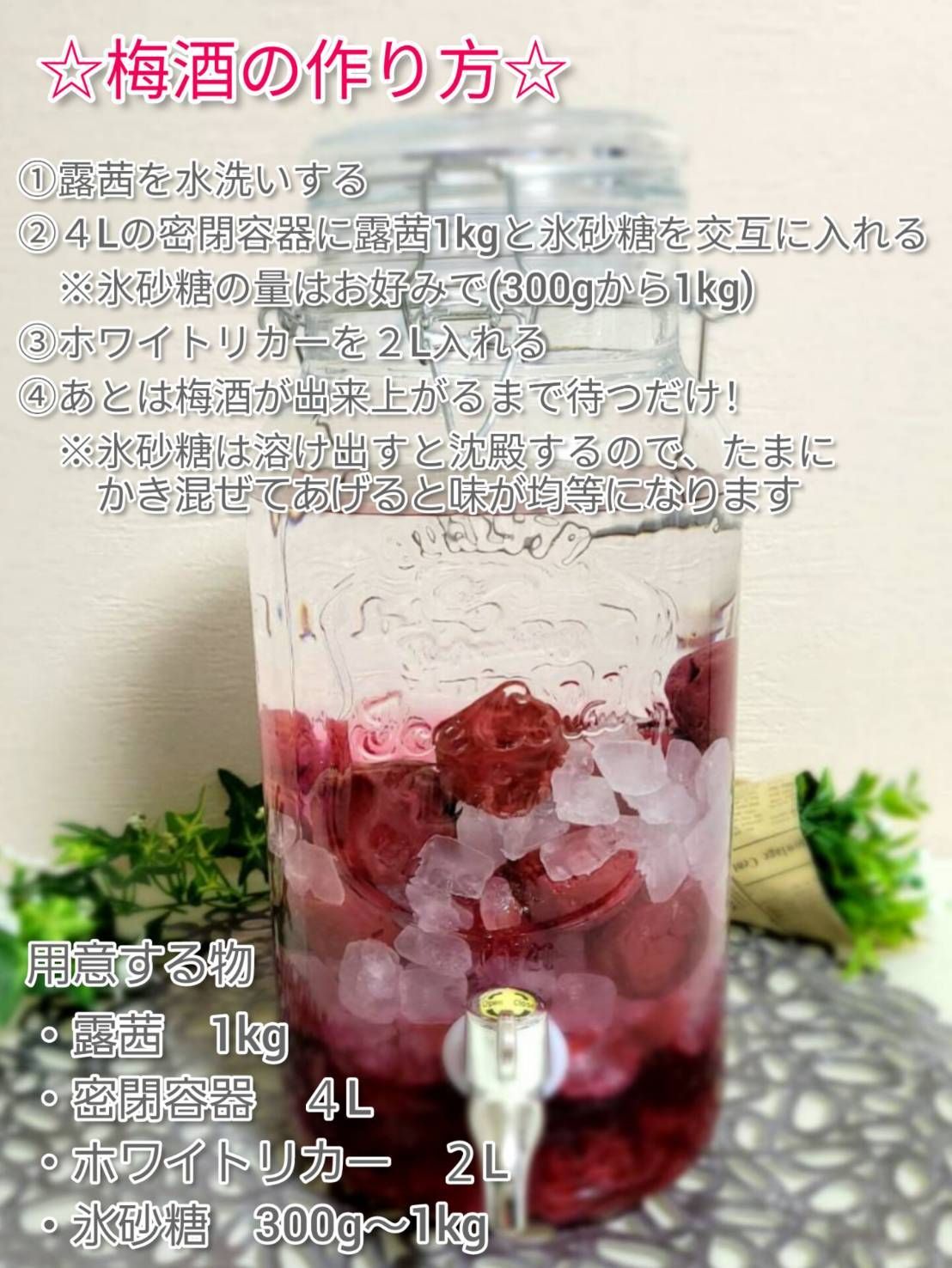 食品 【露茜】10kg 手作り梅酒用 人気商品！