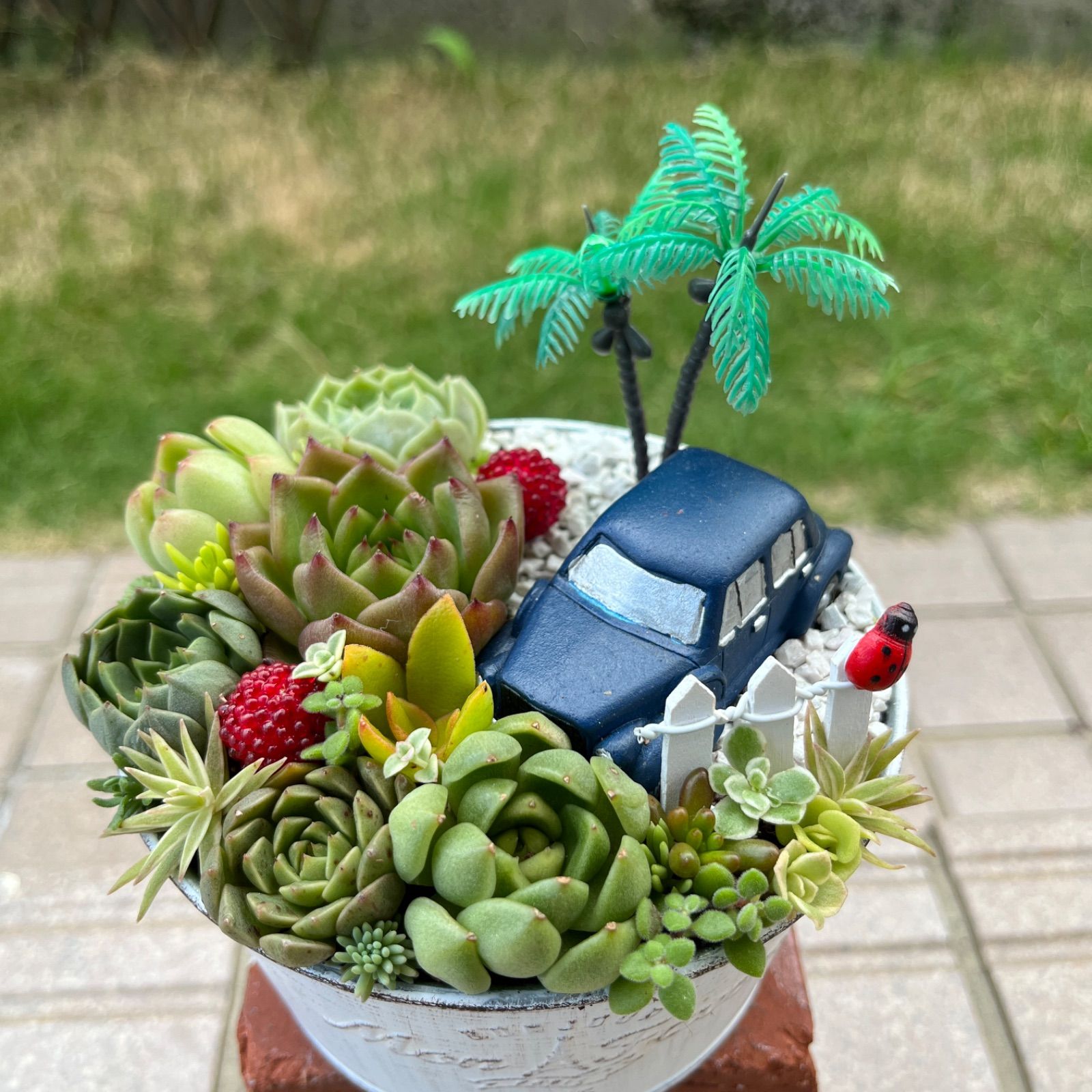 大阪値下げ 箱庭風❤️☆多肉植物☆寄せ植え☆このまま飾れます その他