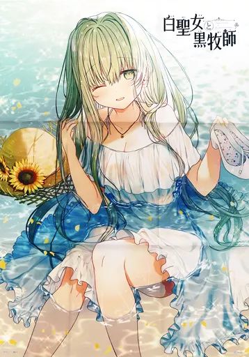 白聖女と黒牧師 ポストカードセット 白聖女と黒牧師 特典 イラストカード