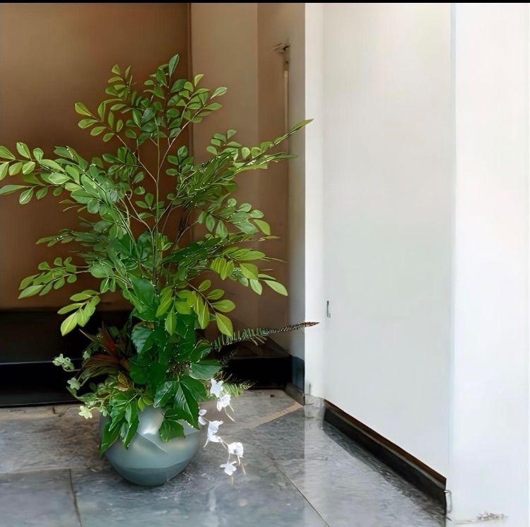 光触媒 人工観葉植物 ウォールグリーン セール中 フェイクグリーン