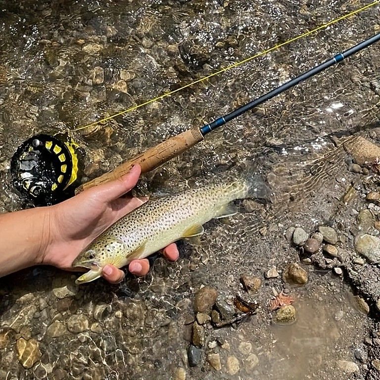 回転式グリップ調整 年度Q-01-2