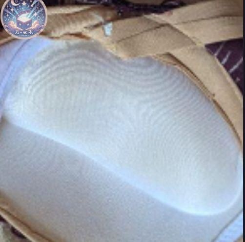 ベリーダンス衣装 上下セット