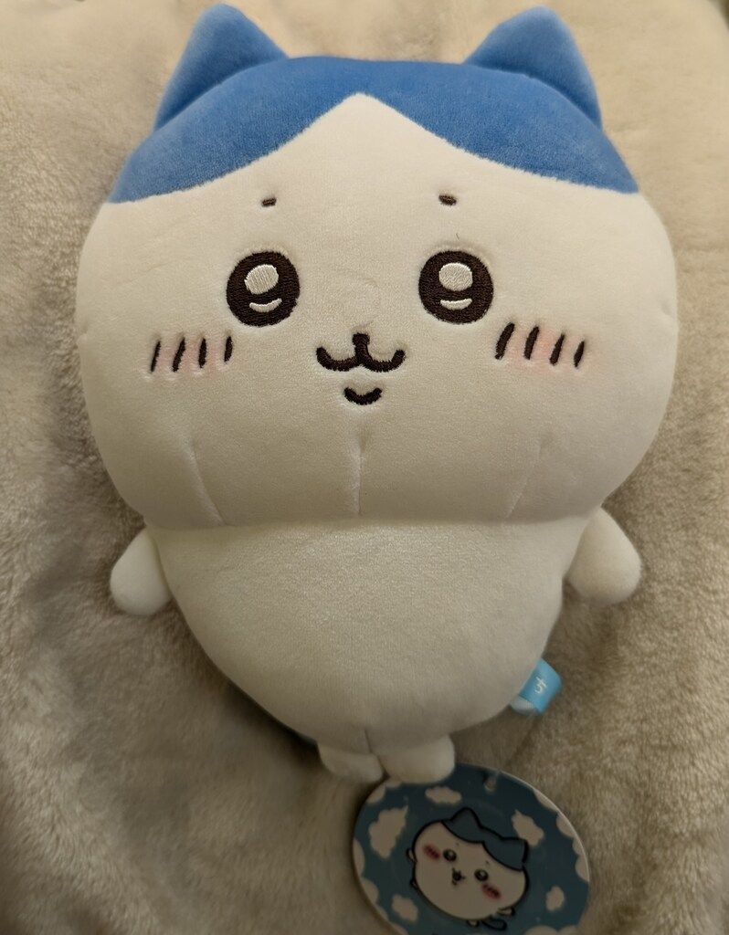 グレイ・パーカー・サービス もちっとぬいぐるみS ちいかわ