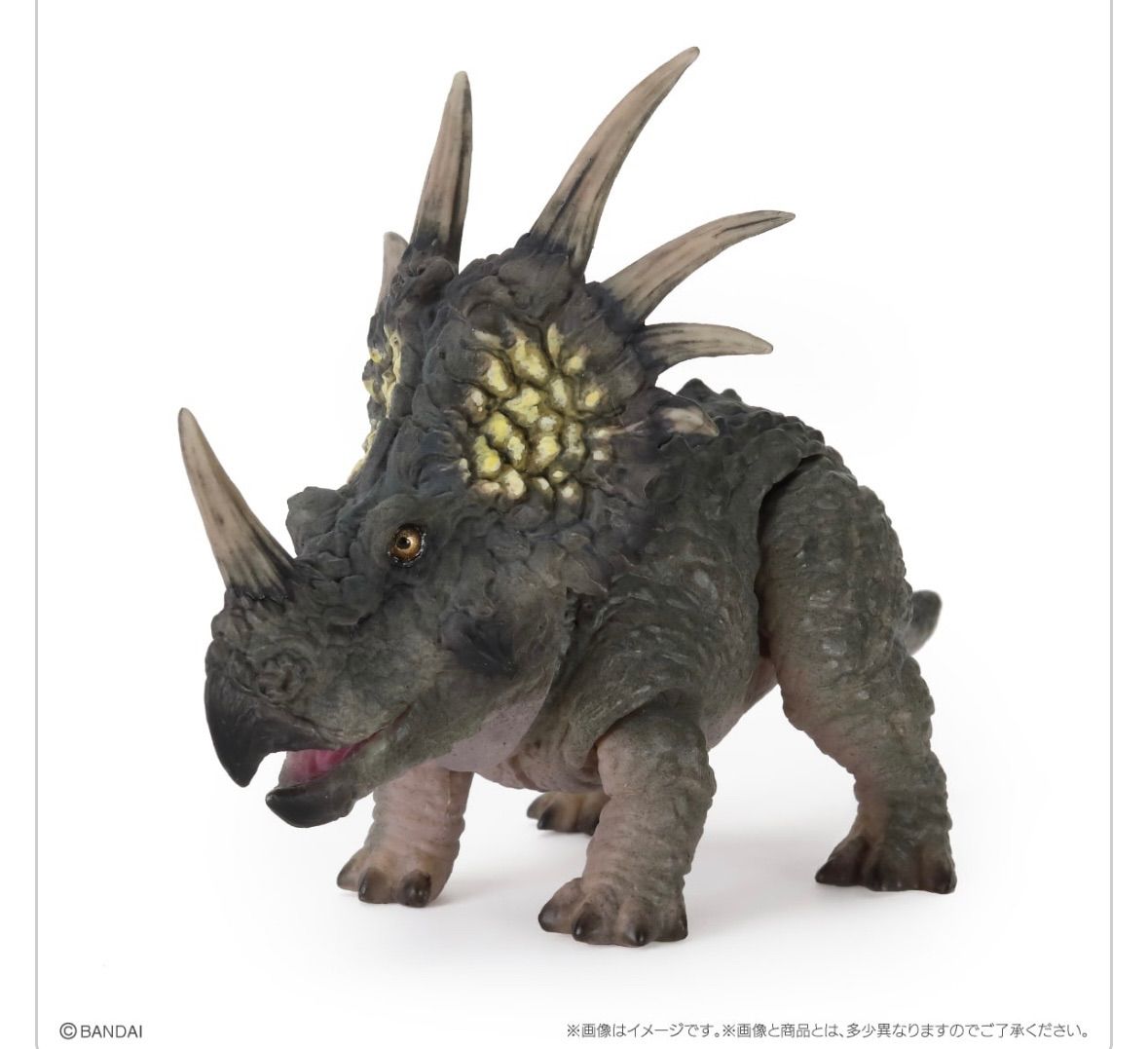 6種コンプセット】いきもの大図鑑レプティ 恐竜02 - メルカリ