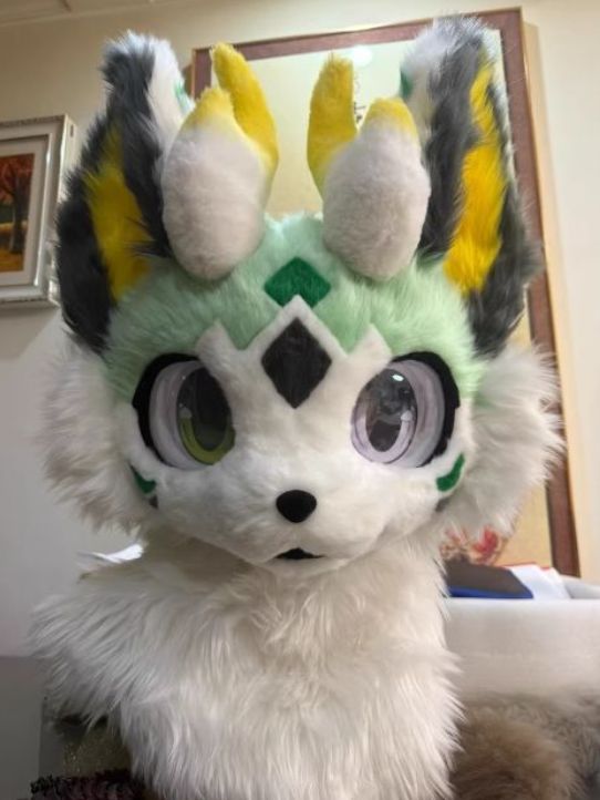 ピーカンナッツ 接木地堀苗 ケープフェア ピーカンナッツ た接木地堀苗