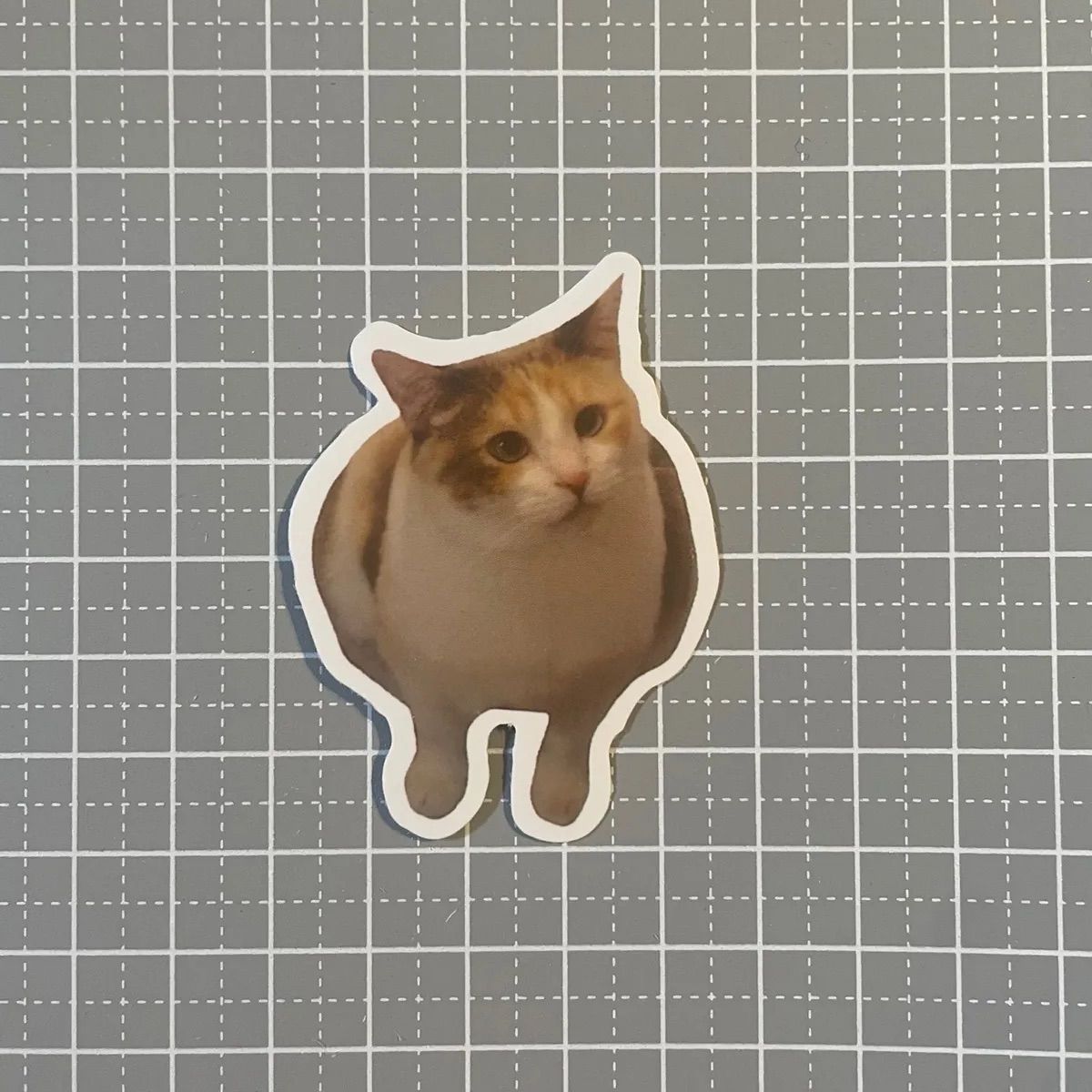 もともと短めの手足ですが、なんだかより短足に見えるミケ👀 #猫