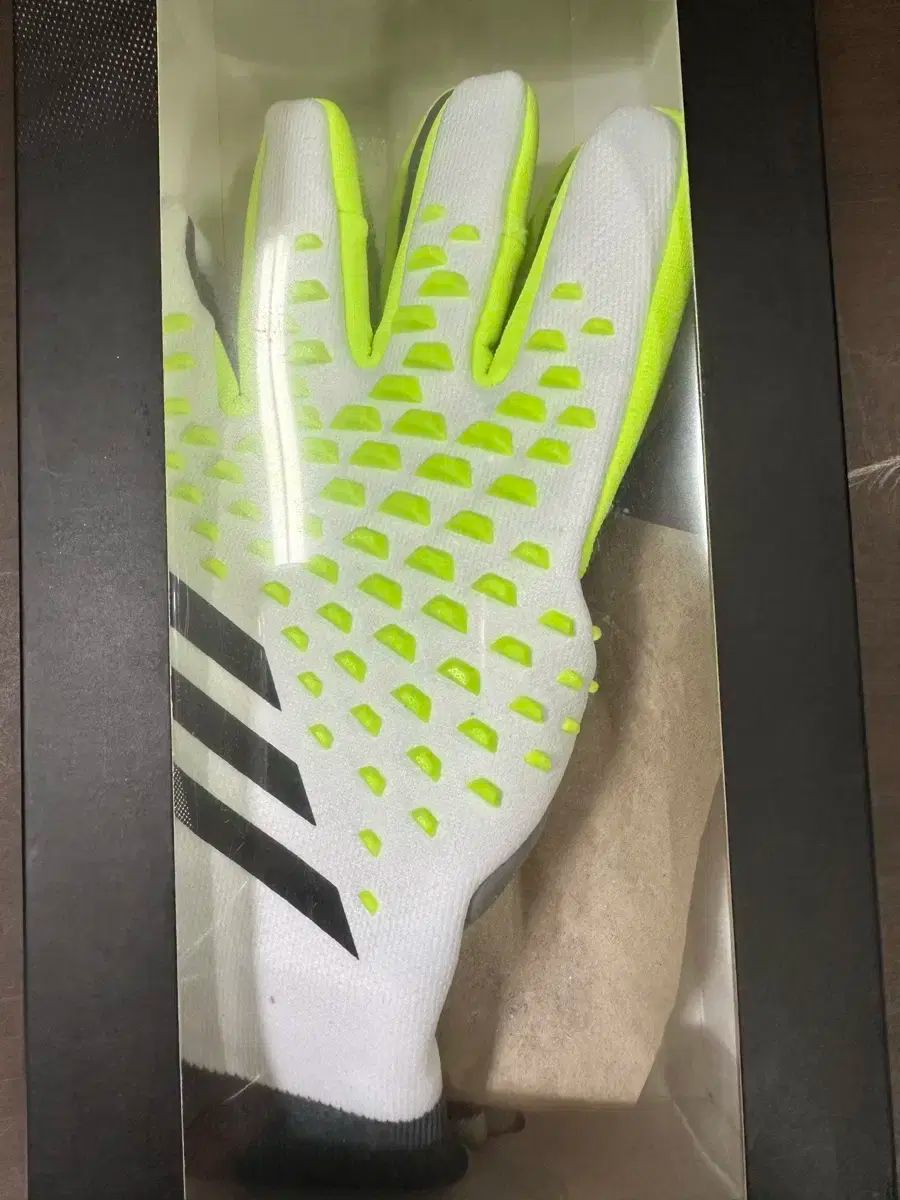 【雷市場（ポンジャン）商品韓国直送】 adidas(アディダス) PRED GL PRO キーパーグローブ 6 Ho/ 7 サブパラグラフ