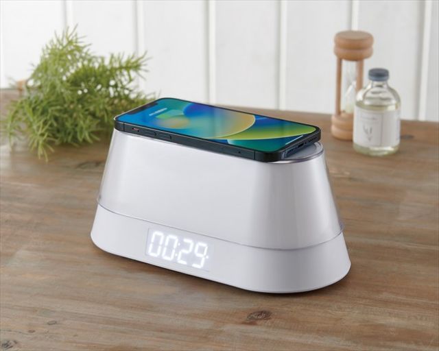 ソワーニュ フィエルテ ジェントルクレンザー