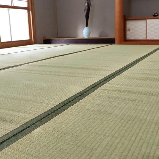 ラグ・カーペット・マット 純国産 い草 上敷き カーペット 双目織 『草津』 江戸間8畳(約352×352cm）