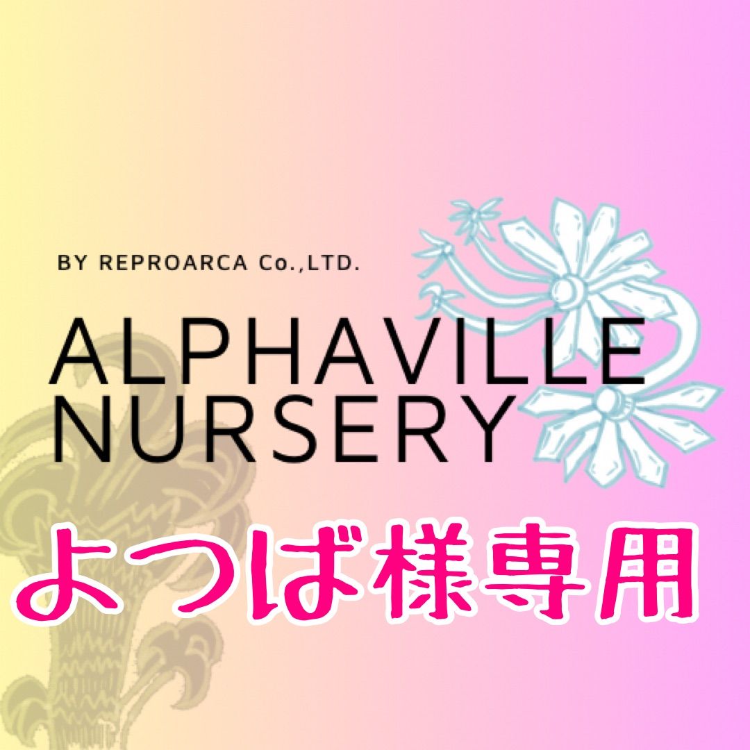 よつば様専用 パープルディライト カット苗 葉挿しセット - ALPHAVILLE