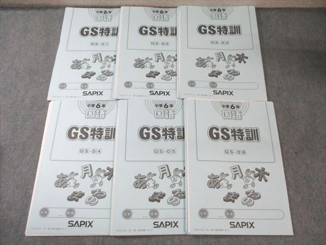 SAPIX 小6 サピックス GS特訓 国語 通年セット 【計6回分】 2024 025m2D SAPIX 小6 サピックス GS特訓 国語 通年セット 【計6回分】 2024