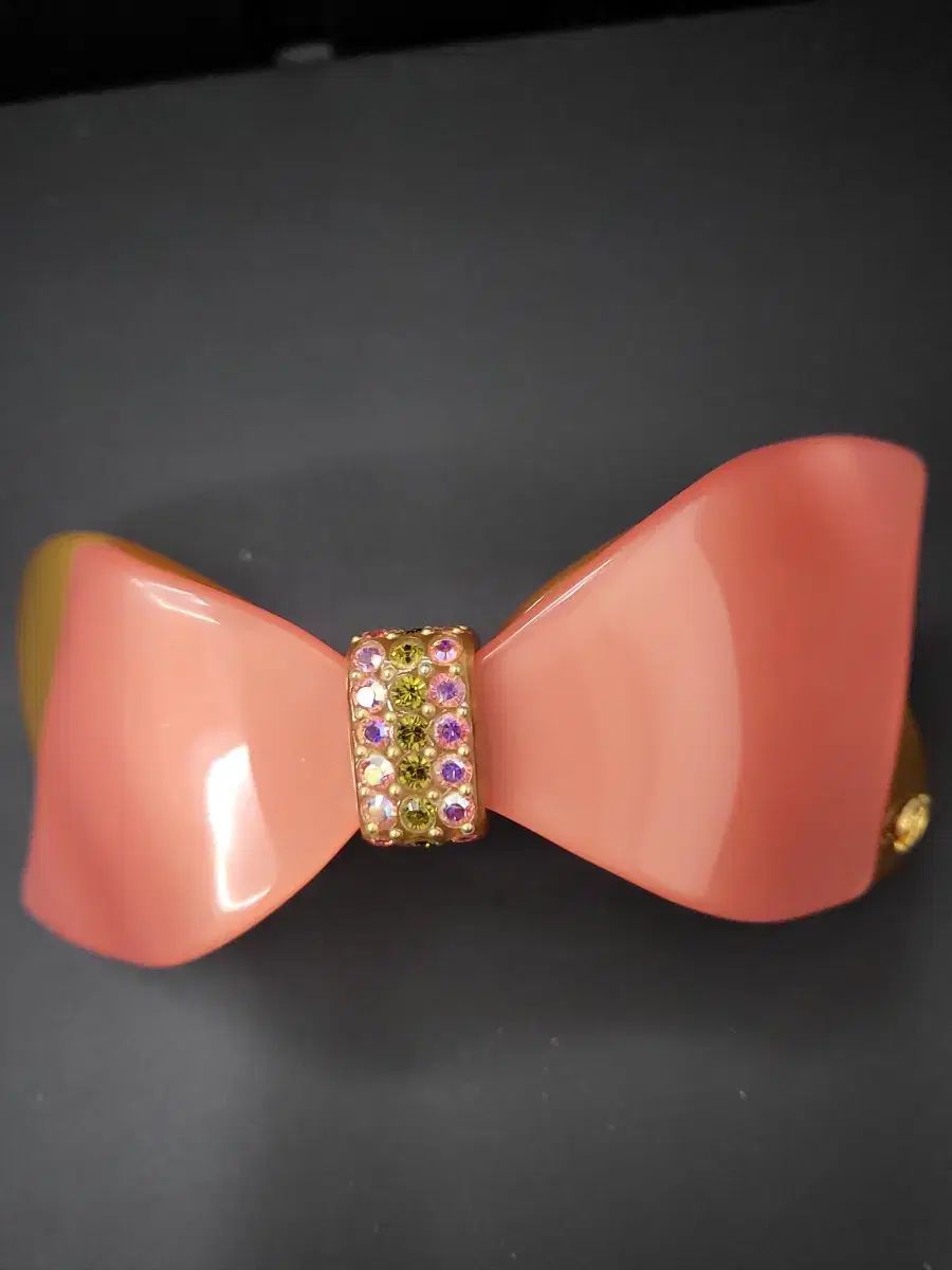 フランス ジャン ポール ゴルチエ チョンピン