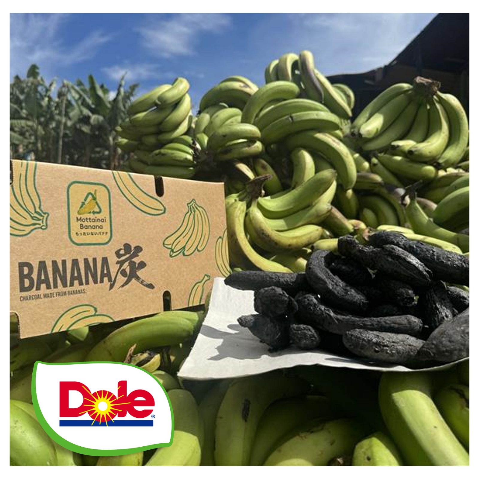 バナナ１箱　メロン1箱 バナナ1箱 メロン1箱