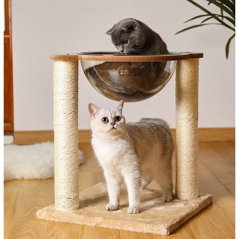 キャットタワー 宇宙船 ボウル クリア おしゃれ ハンモック