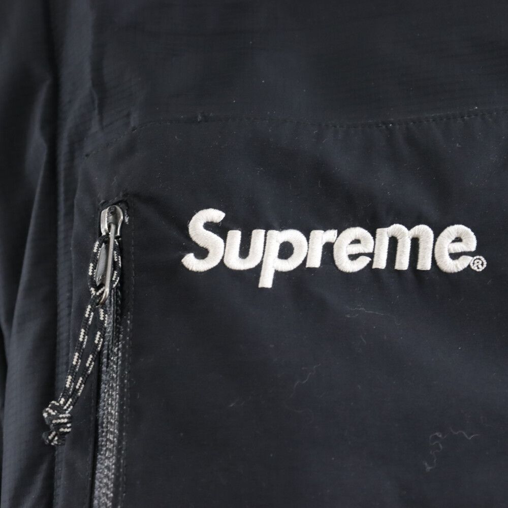 SUPREME (シュプリーム) 19AW GORE-TEX 700-Fill Down Parka