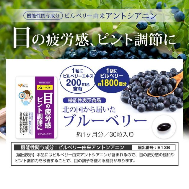ビルベリー