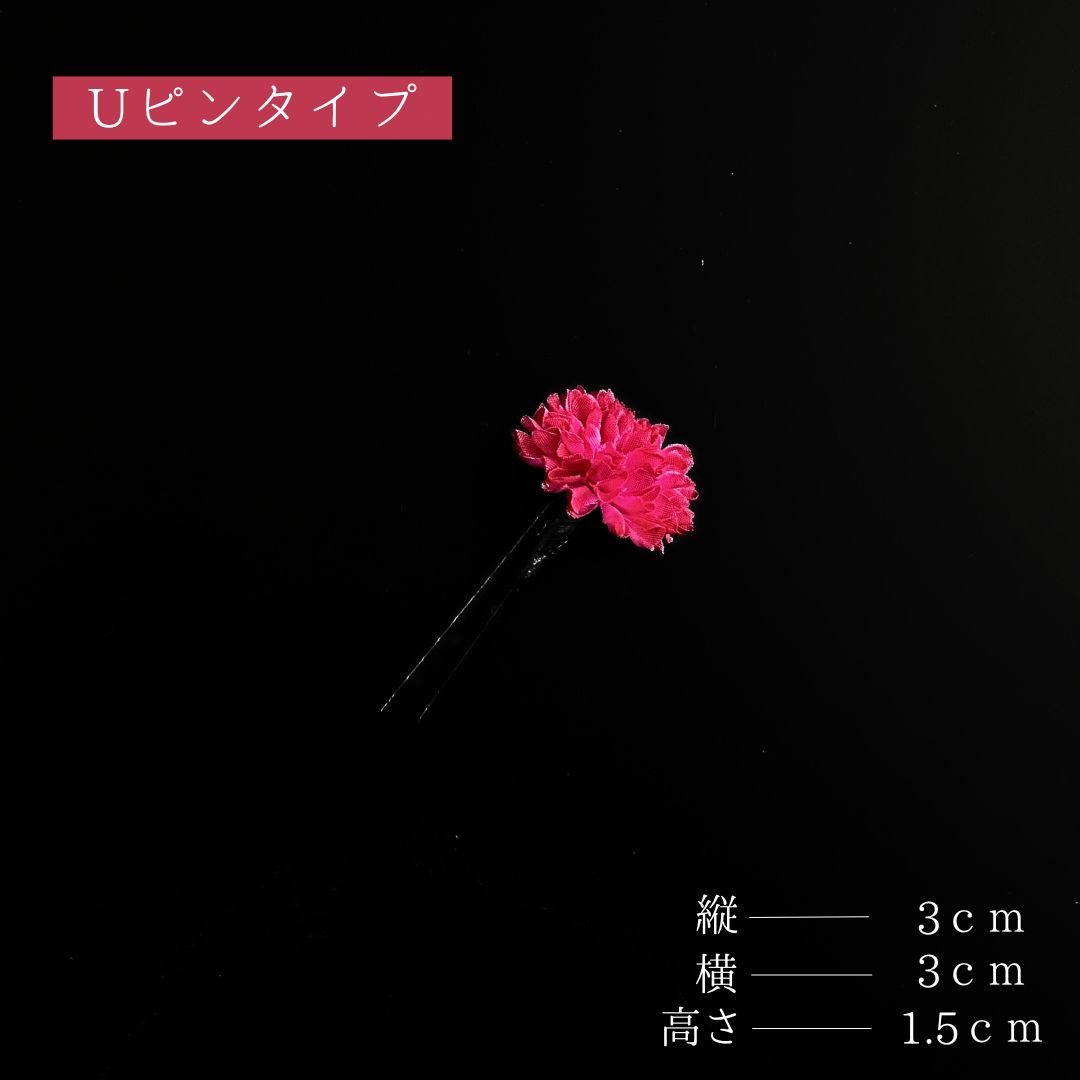 ピンポンマム 菊