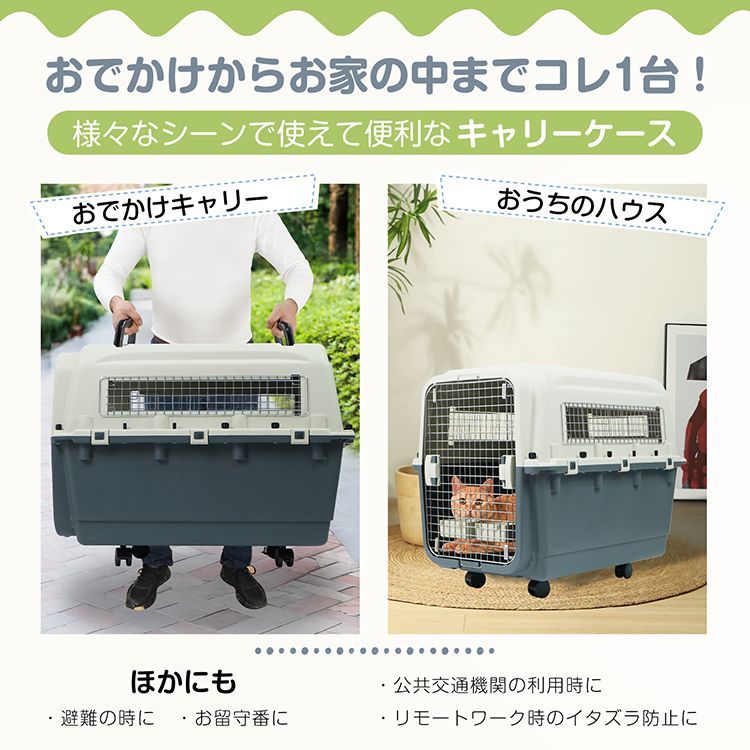 車 いぬ