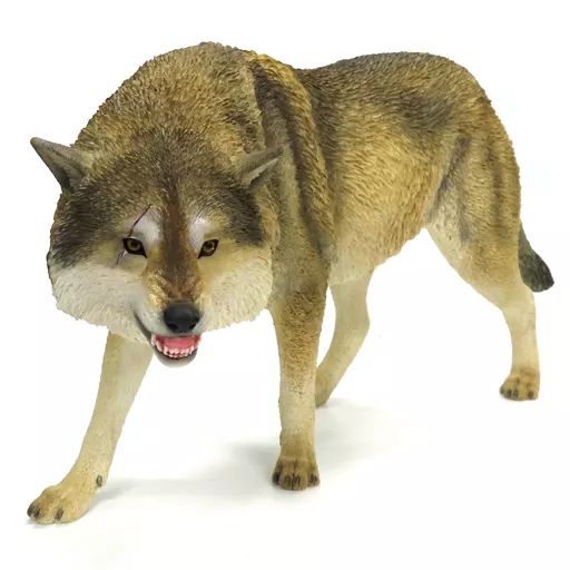 フィギュア　ハイイロオオカミ ノースアメリカングレイウルフ B 1/6 塗装済み完成品 駿河屋 -<中古>ハイイロオオカミ ノースアメリカングレイウルフ