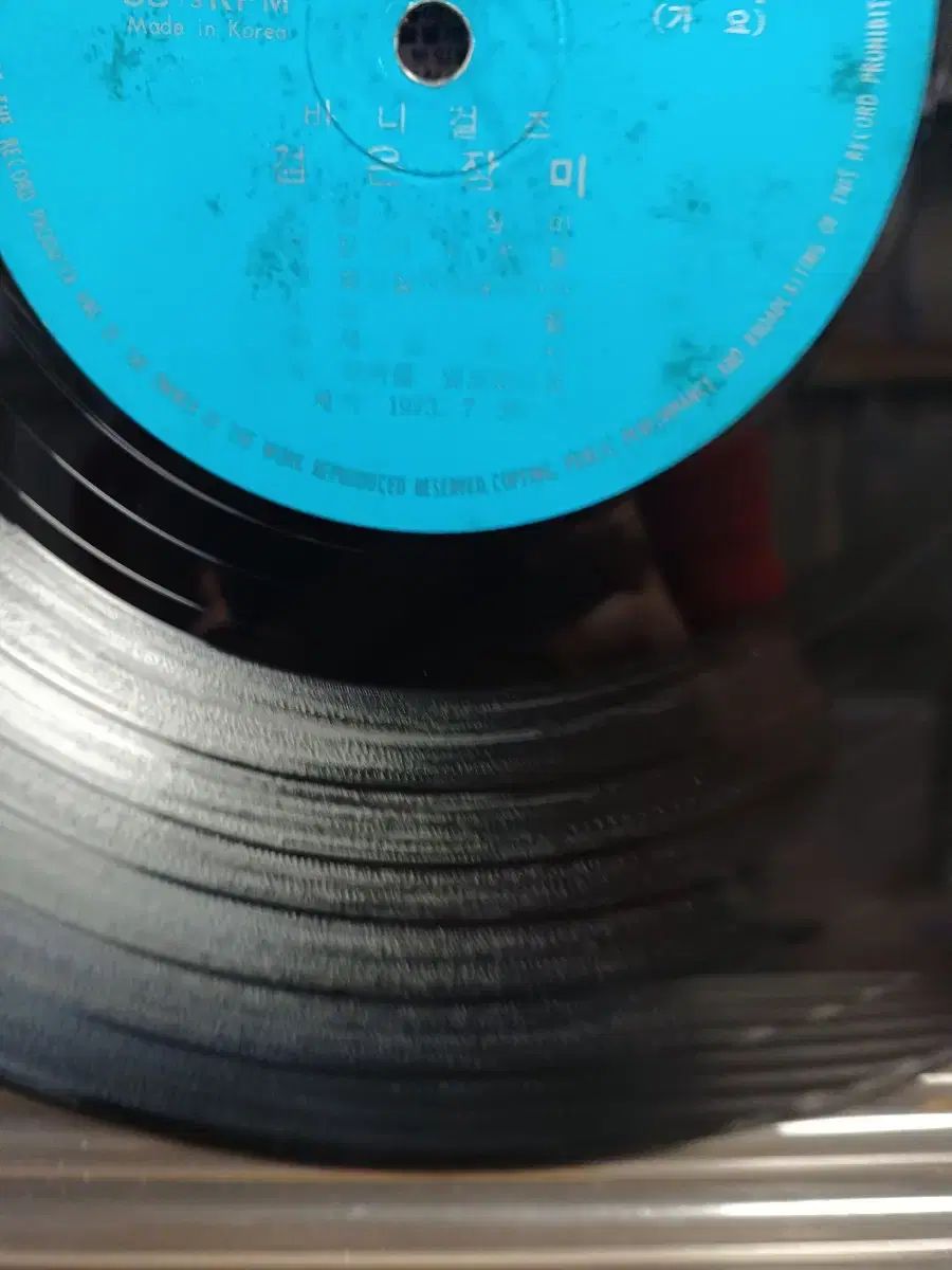 73 年 バニーガールズ LP 黒バラ NM WWW_IMPECCABLEHEALTHCARESERVICES_COM