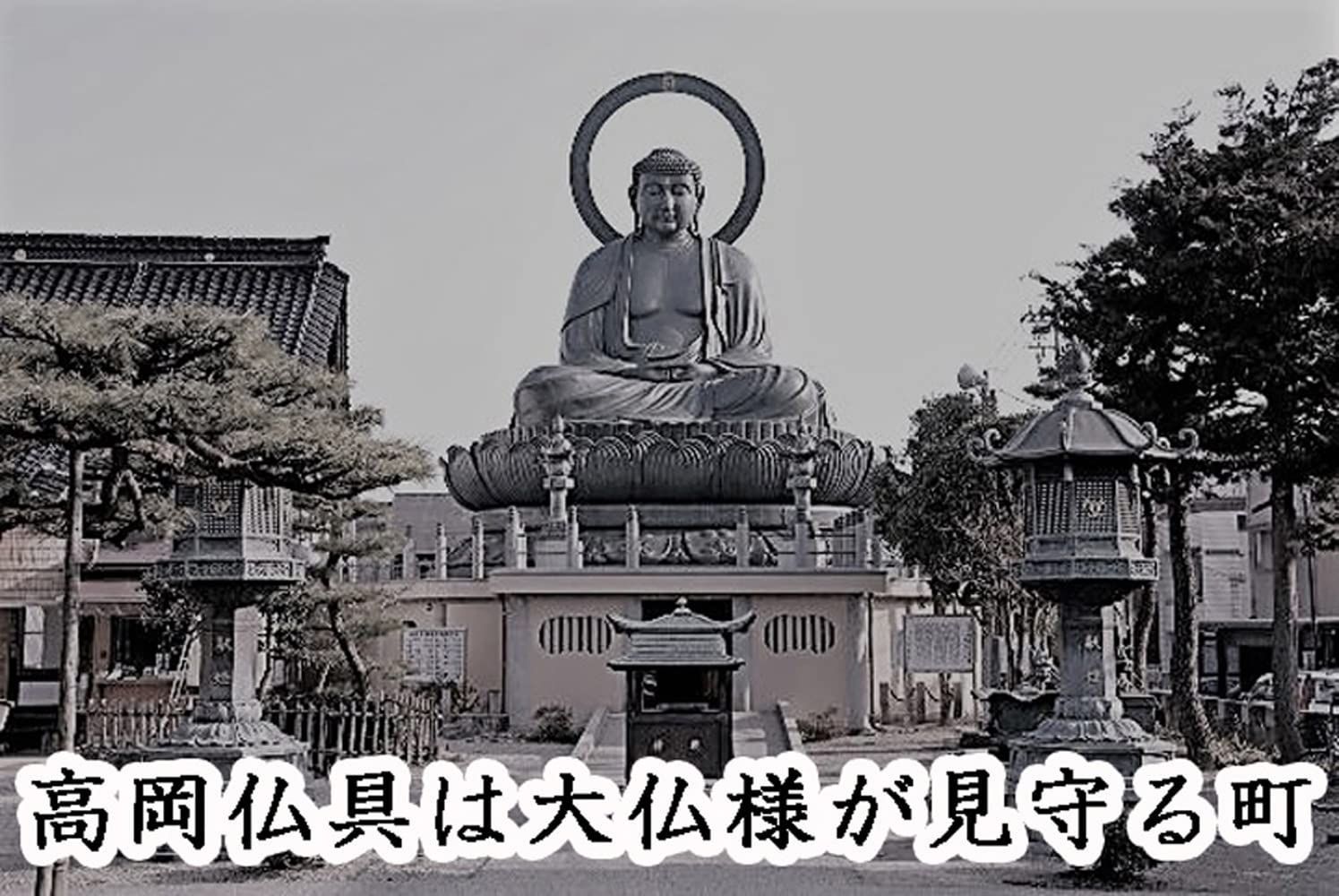 中京型