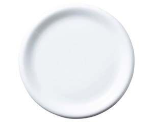 コ558 028 ブリオ 27 5 cmプレート