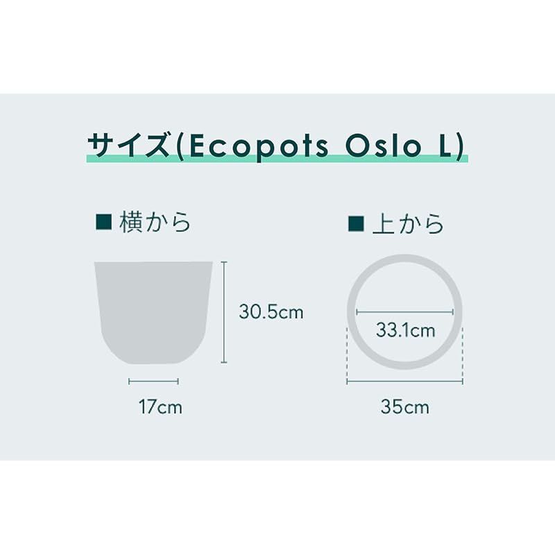 アンドプランツ