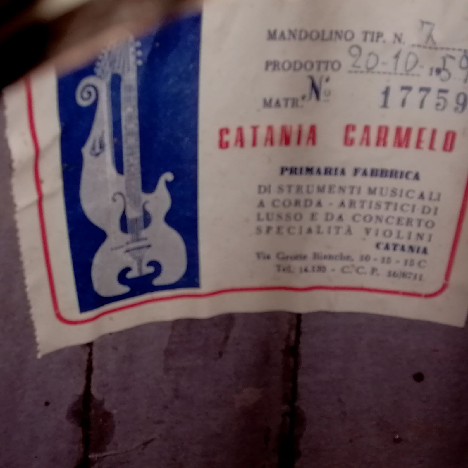 CATANIA CARMELO カタニア カルメロ No.7　1959年製 マンドリン