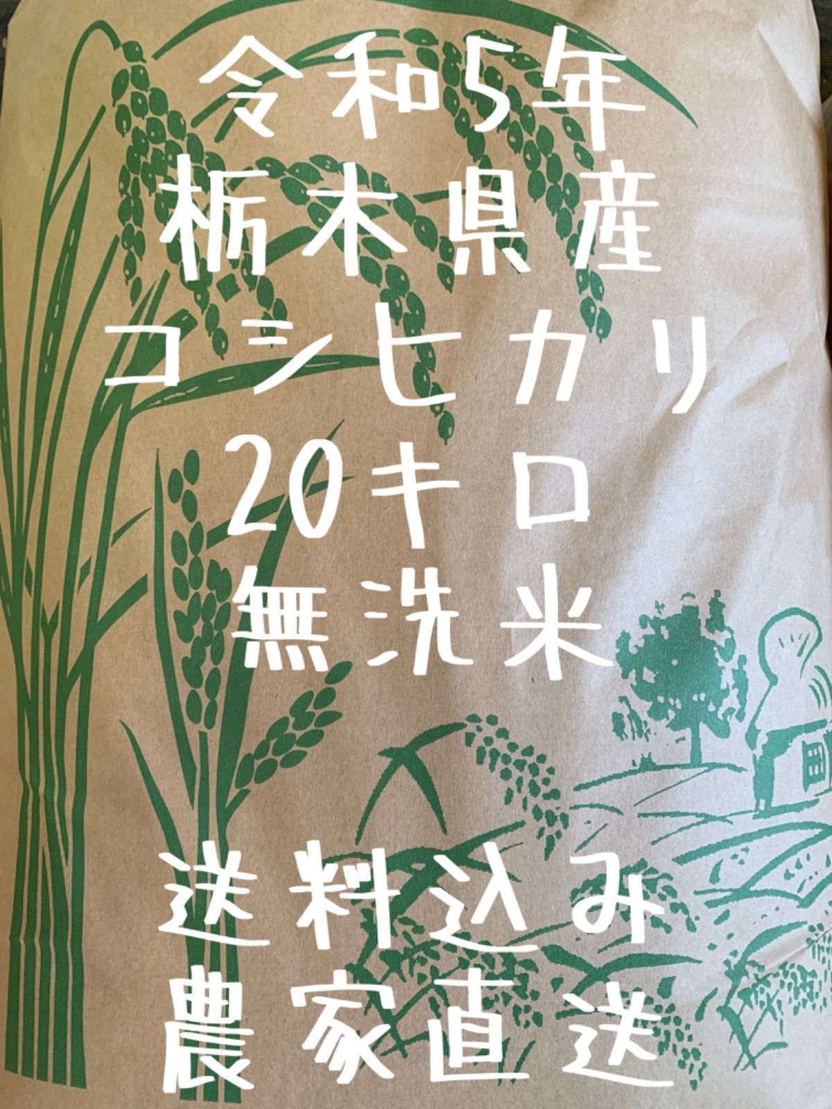 無洗米 茨城県産 コシヒカリ 5kg 10kg 20kg 令和 5年産 ｜ 送料