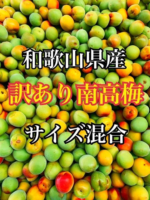 和歌山県紀南産　訳あり露茜5㎏