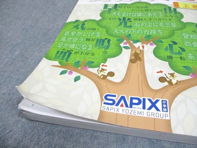 いま人気のアイテム 言葉ナビ 国語 サピックス SAPIX 上巻 メルカリ - 013m2D 2019 語学+参考書