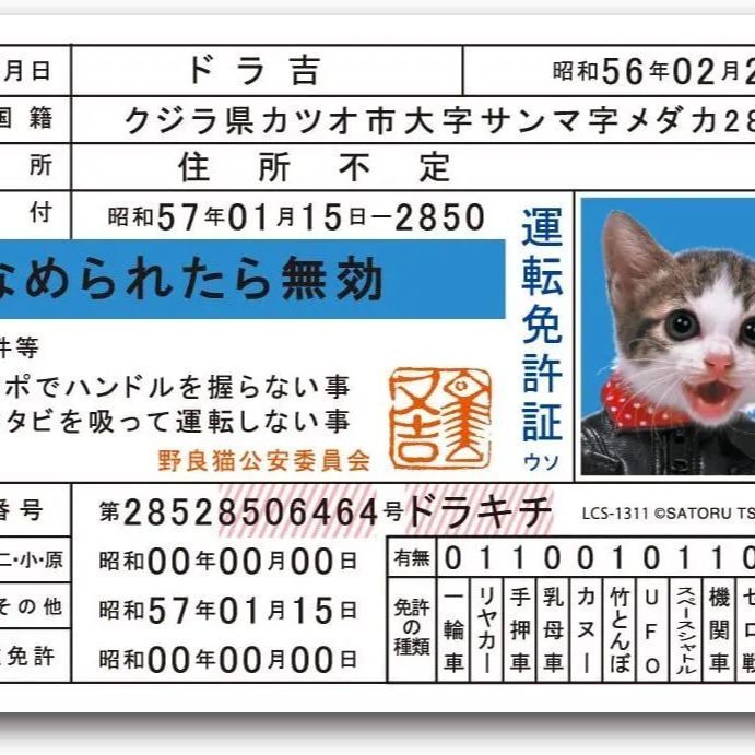 なめ猫 なめんなよ 免許証 ドラ吉 キャラクターステッカー 懐かし 80年代 なめ猫グッズ 昭和 レトロ 猫 公式 ステッカー - メルカリ